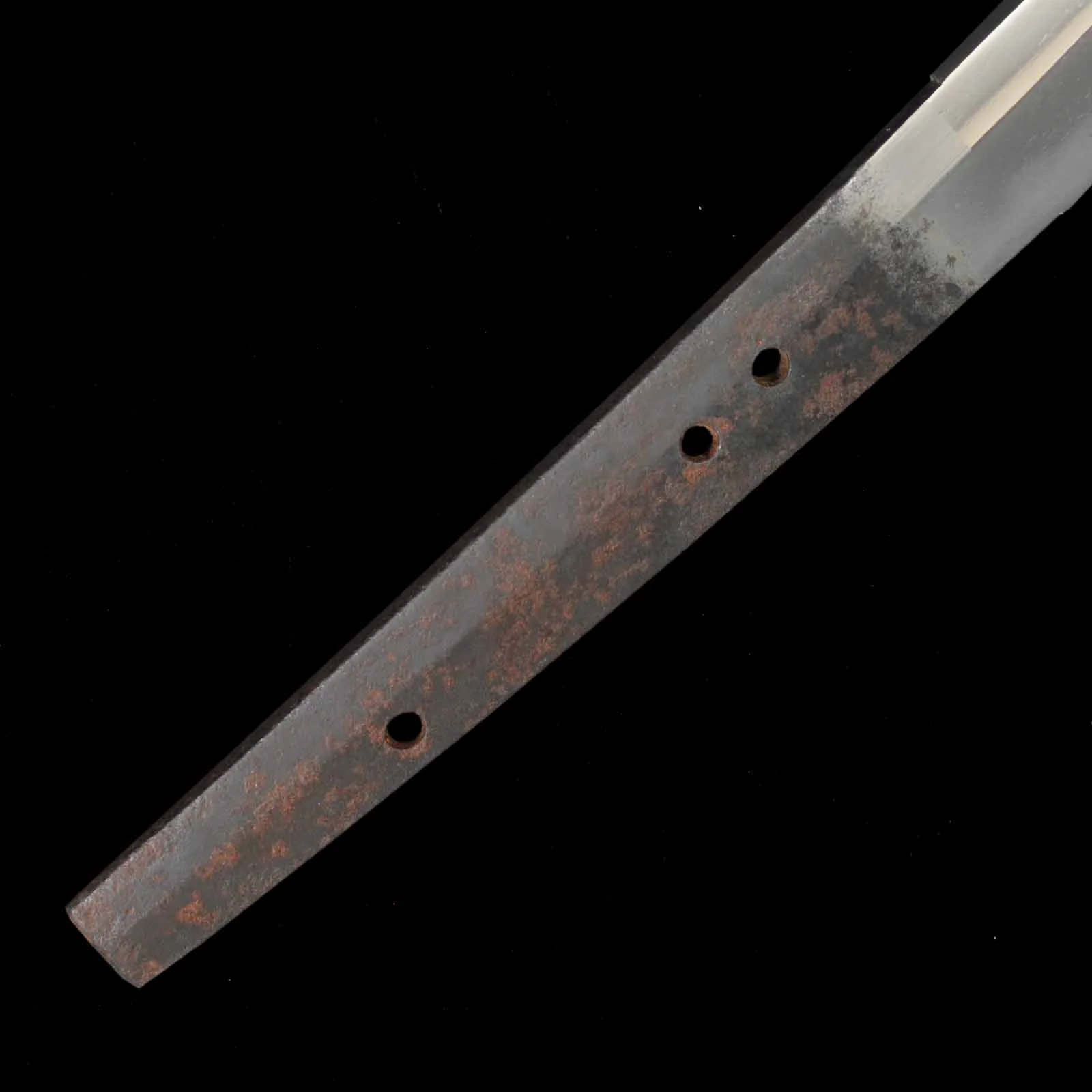 Katana - Kanemoto - Shirasaya Koshirae - Suriage Nakago - Koto Era - Image 20