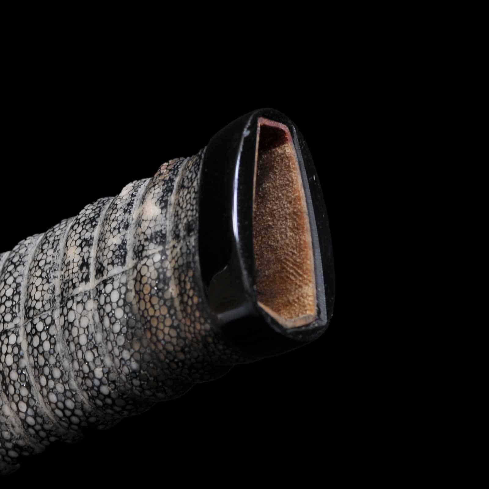 Katana - Mumei(No Sigunature) - Uchigatana Koshirae - Ubu Nakago - Shinto Era - Gifu 087131 - Image 42