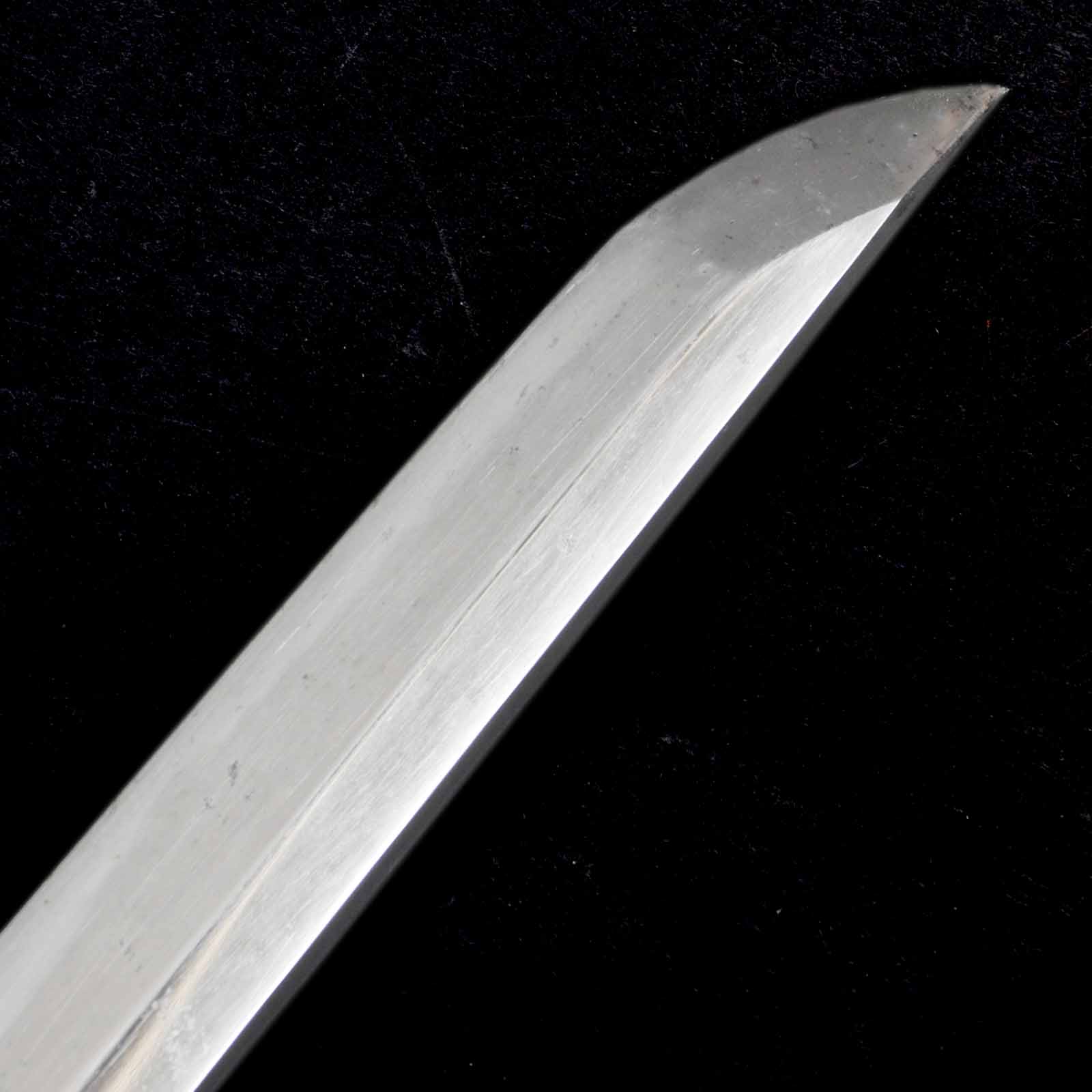 Katana - Tadayuki - Uchigatana Koshirae - Ubu Nakago - Shinto Era - Image 5