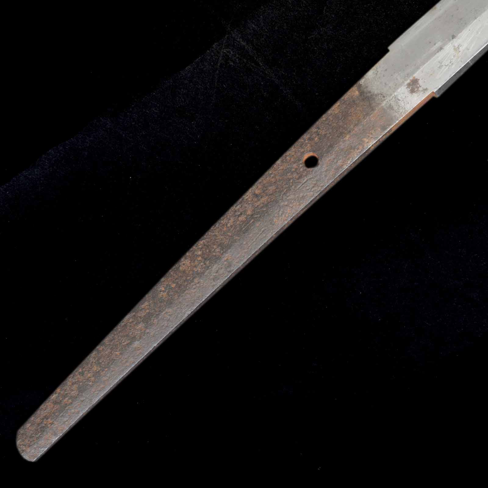Katana - Tadayuki - Uchigatana Koshirae - Ubu Nakago - Shinto Era - Image 8