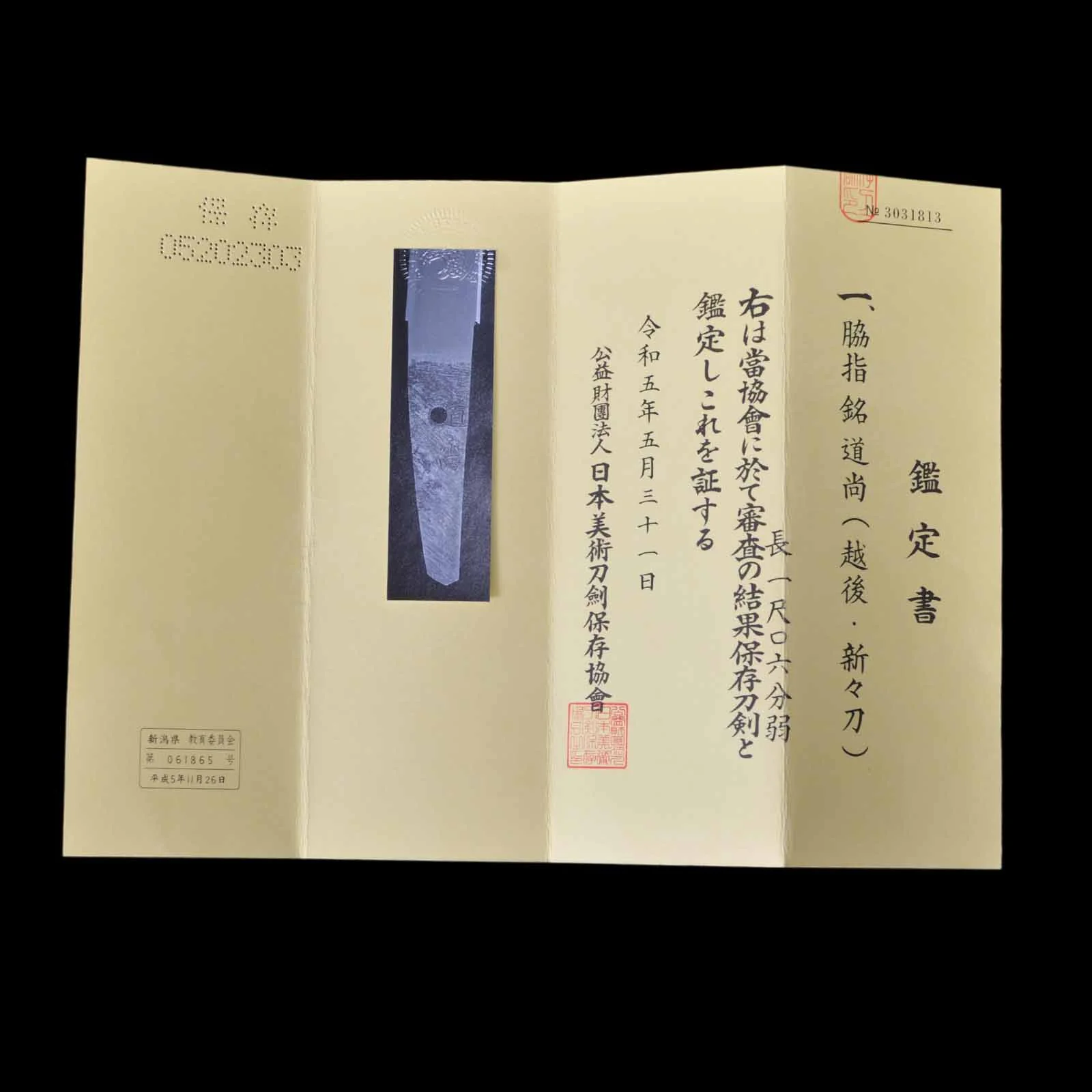 O-Tanto - Michinao - NBTHK Hozon Certificate - Shirasaya Koshirae - Ubu Nakago - Shinshinto Era - Niigata 061865 - Image 15