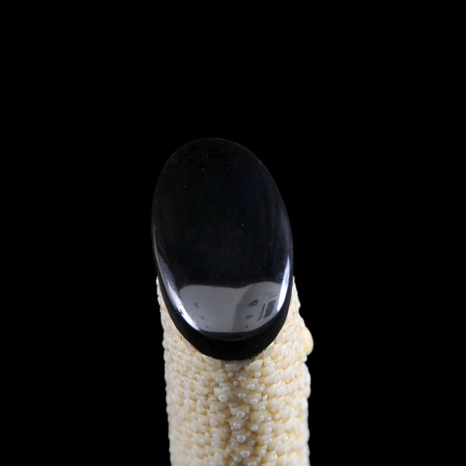 Tanto - Mumei(No Signature) - Aikuchi Koshirae - Ubu Nakago - Shinto Era - Saitama 64784 - Image 15