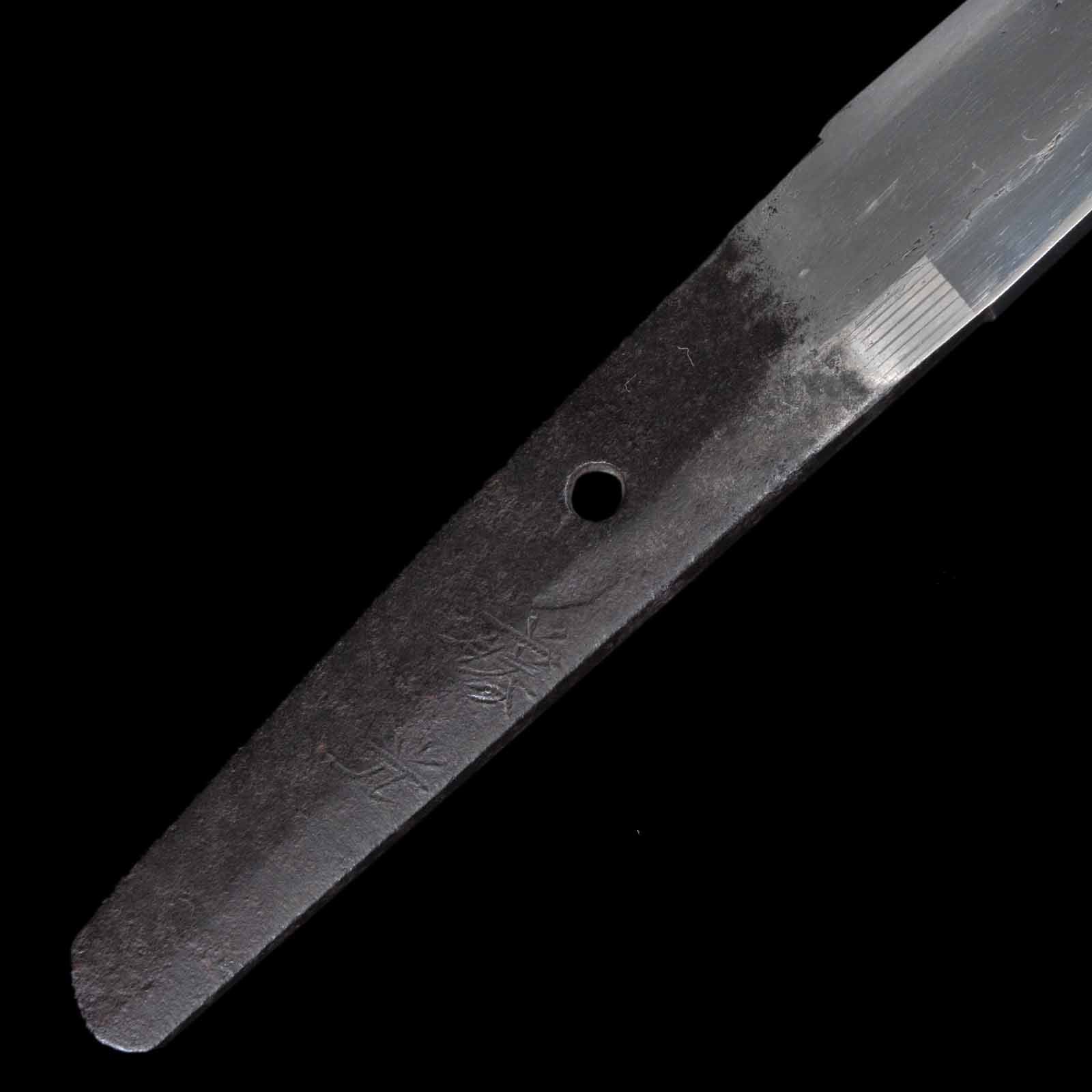 Wakizashi - Fujimitsu - Shirasaya Koshirae - Ubu Nakago - Koto Era - Niigata 039967 - Image 8