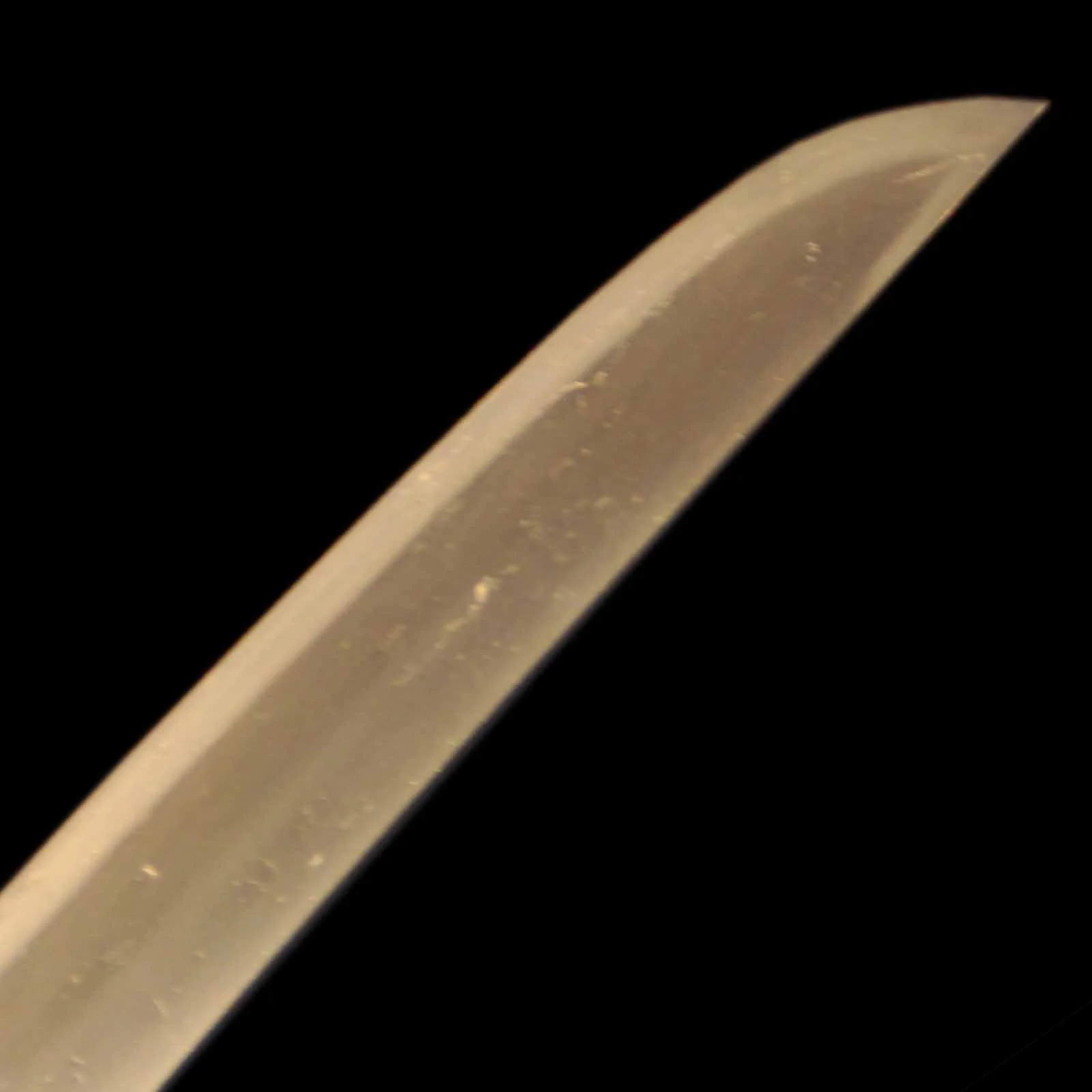Wakizashi - Sukesada - Shirasaya Koshirae - Ubu Nakago - Shinshinto - Image 4
